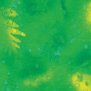 Fossil Ferns grass