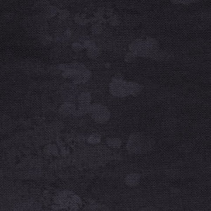 Fossil Ferns Graphite