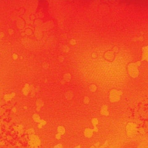 Fossil Ferns Fire