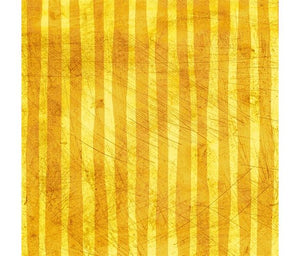 Cats P&B stripe yellow