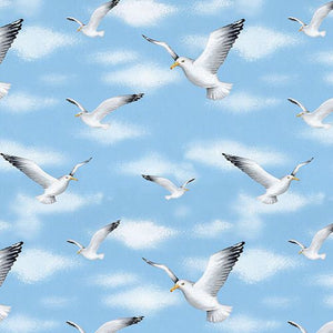 Wade and Sea Gulls
