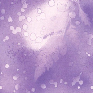 Fossil Ferns African Violet
