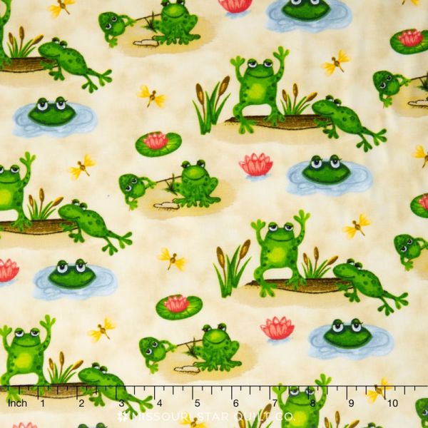 Froggin Around Frogs/frogs