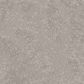 Spraytime Silver