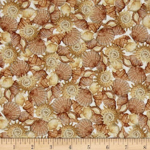 Sea Treasures Small Shells