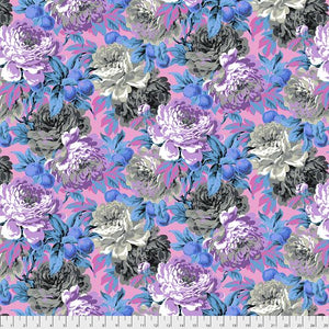 KF Luscious Grey