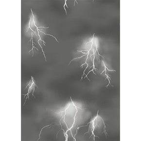 Fat Quarter Frenzy Other Lighthouse Wonders Lightning Grey