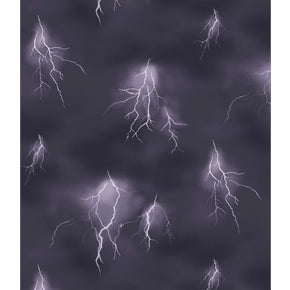 Fat Quarter Frenzy Other Lighthouse Wonders Lightning Purple