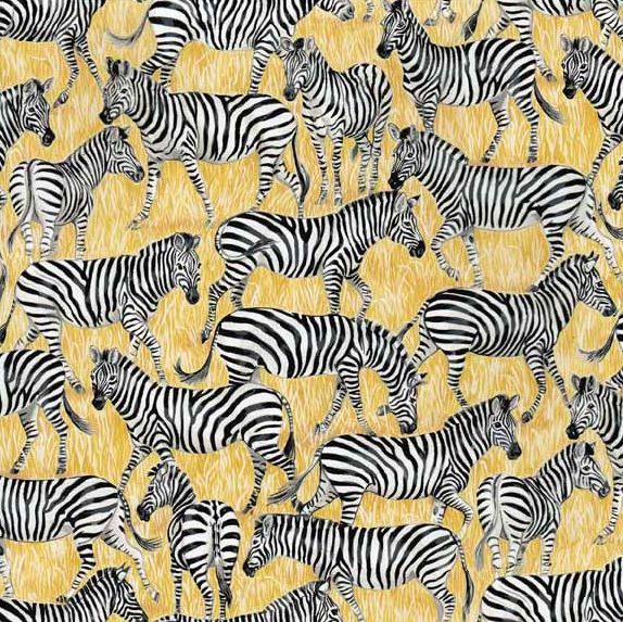 Safari Zebras